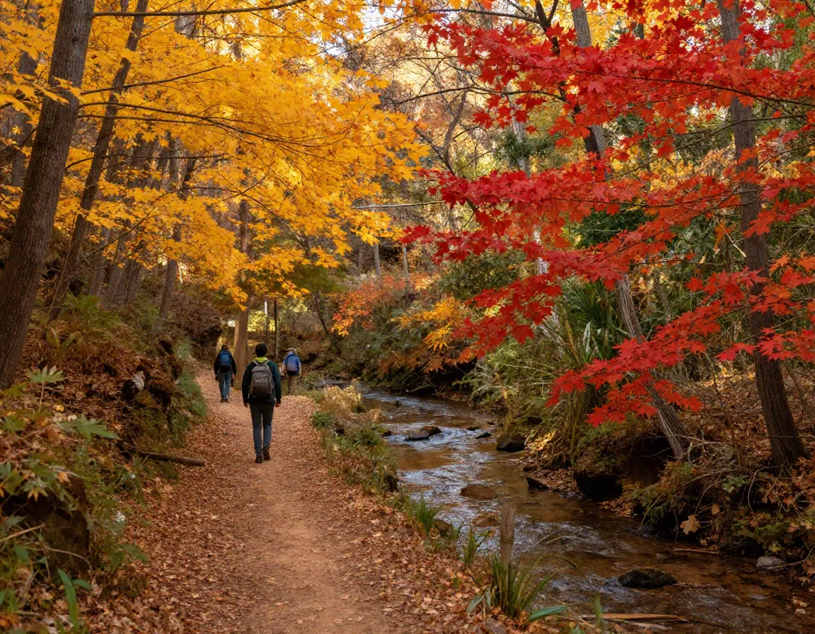 Mckittrick canyon autumn hiker maple trees stream trail