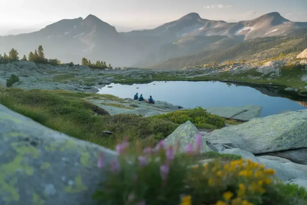 Layered Alpine Landscape With Wildflowers Lake Hikers And Distant Snow Capped Peaks