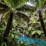 8 Pictures of Tropical Forest That Will Make You Pack Your Hiking Bag