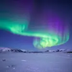 9 Cool Nature Wallpapers to Transform Your Screen into a Wilderness Escape