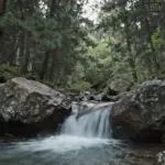 9 Cool Nature Pics Ideas for Your Next Social Media Post