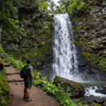 9 Unforgettable Hiking Trails in Great Smoky Mountains for All Levels