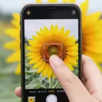 9 Pro Tips for Taking Pretty Nature Pics on Your Phone