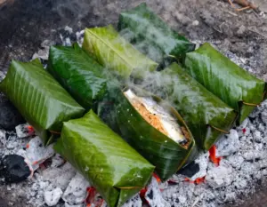 Read more about the article 9 Genius Cooking Ideas for Camping with Limited Resources