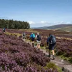 8 Stages of the Kilimanjaro Mountain Hike: A Complete Trail Guide