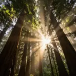 9 Cool Images of Nature That Will Make You Want to Pack Your Bag