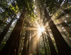 Read more about the article 9 Cool Images of Nature That Will Make You Want to Pack Your Bag