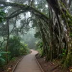 8 Can’t-Miss Experiences in Costa Rica’s Monteverde Cloud Forest