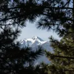 8 Ways to Find a Pretty Nature Scene on Your Next Trail