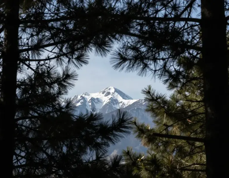 Featured Mountain Peak Framed Naturally By An Opening In Overhanging Tree Branches