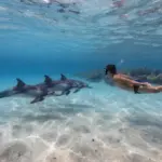 8 Adventurous Things to Do in Hawaii Kona: Hikes, Snorkels & More