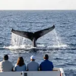 9 Must-Do Outdoor Activities on Kona, Hawaii for Nature Lovers